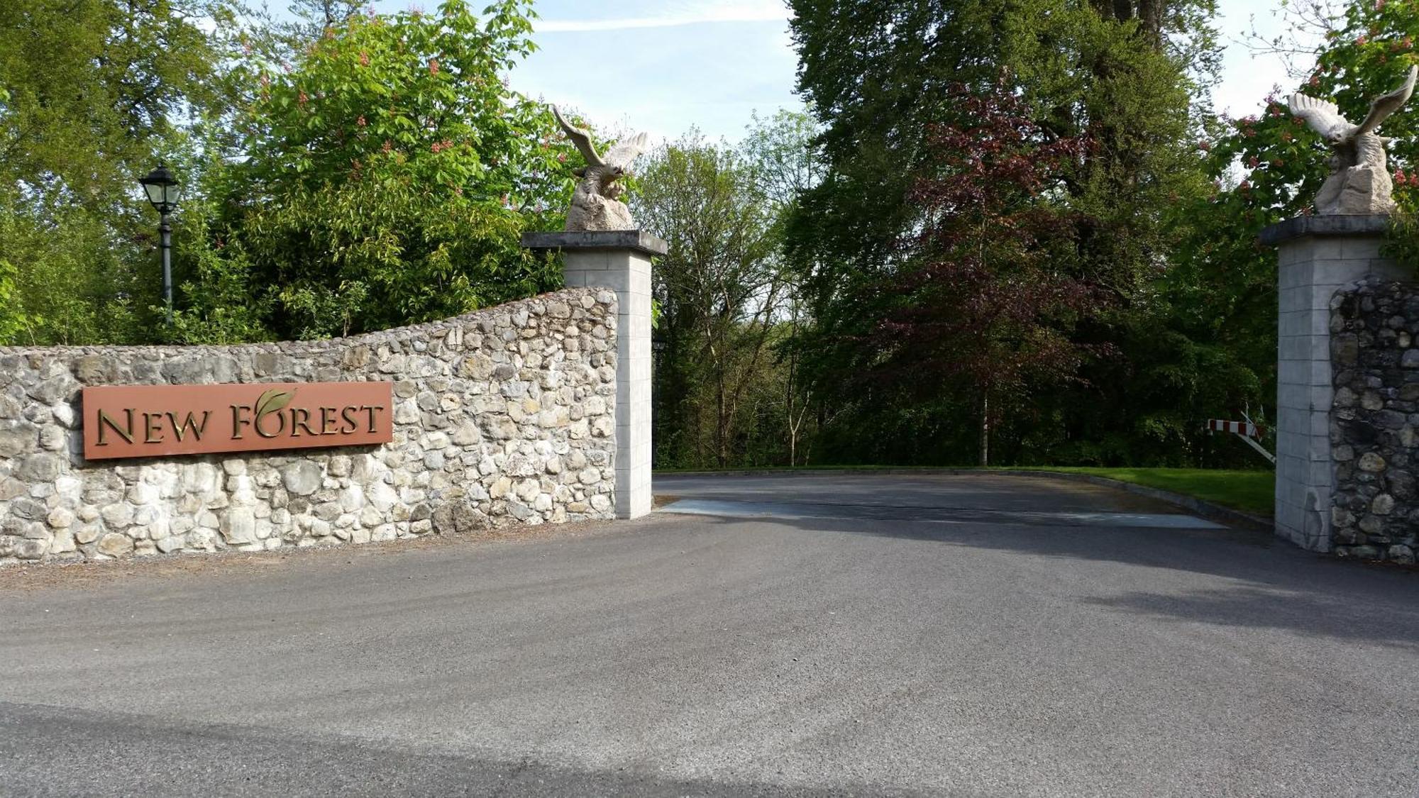 New Forest Estate Lodges Tyrrellspass Buitenkant foto